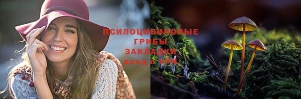 ALPHA PVP Алексин