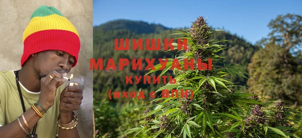 прущие крисы Алзамай