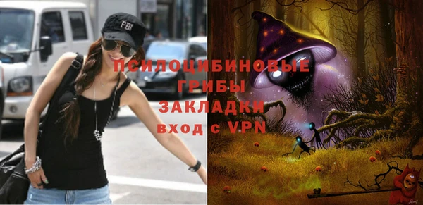 ALPHA PVP Алексин