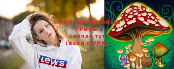 ALPHA PVP Алексин