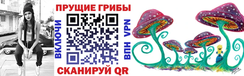 купить наркотики цена Камызяк Псилоцибиновые грибы мицелий